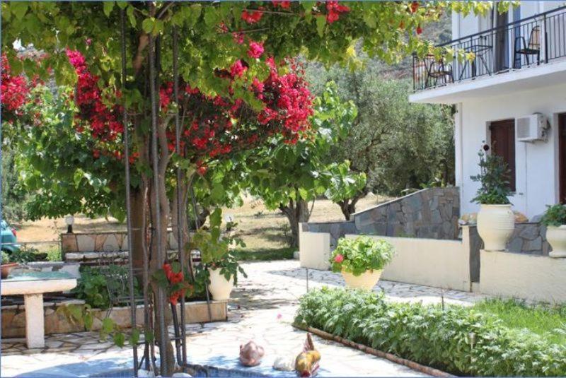 Ballas Apartments Agia Efimia Exteriér fotografie